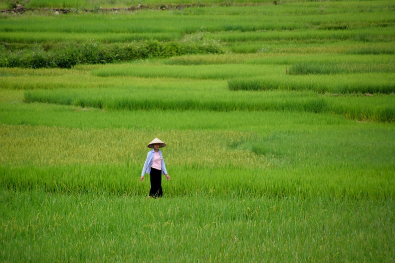 Viet-Nam Nord.JPG